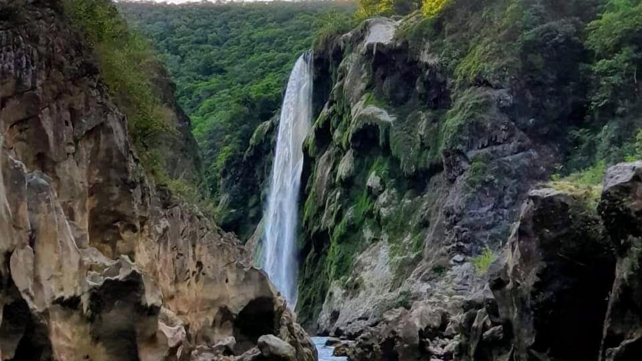 Photo of Others in Tanchachin