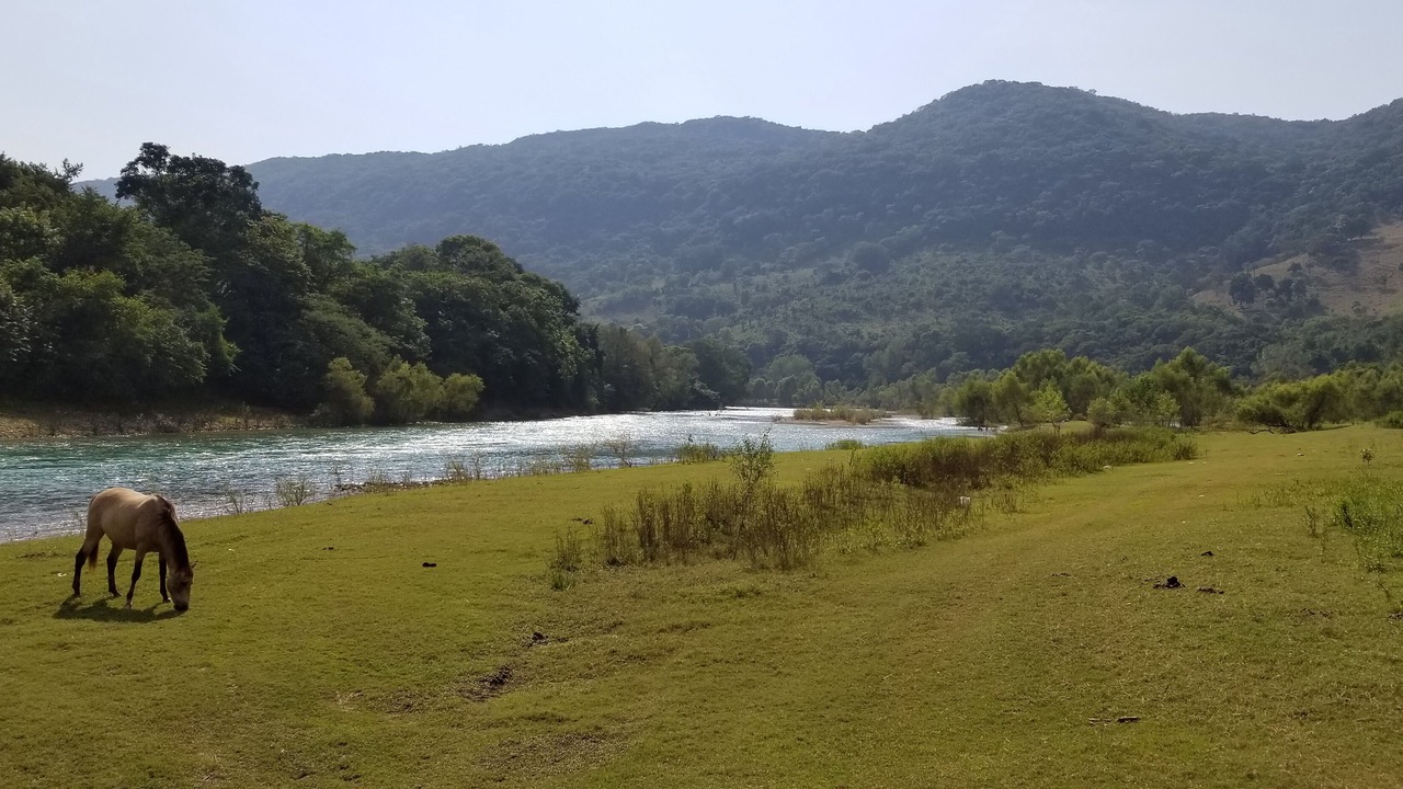 Photo of Others in Tanchachin