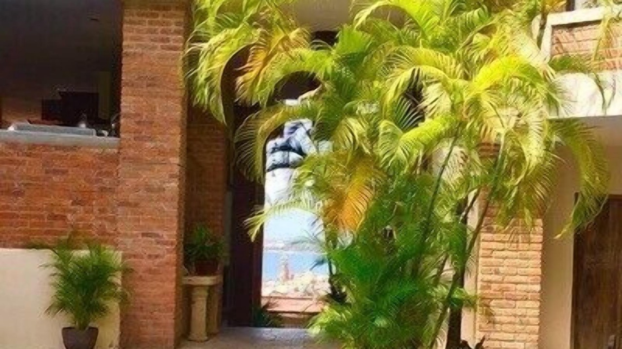 Photo of Outdoor in Romantic Zone