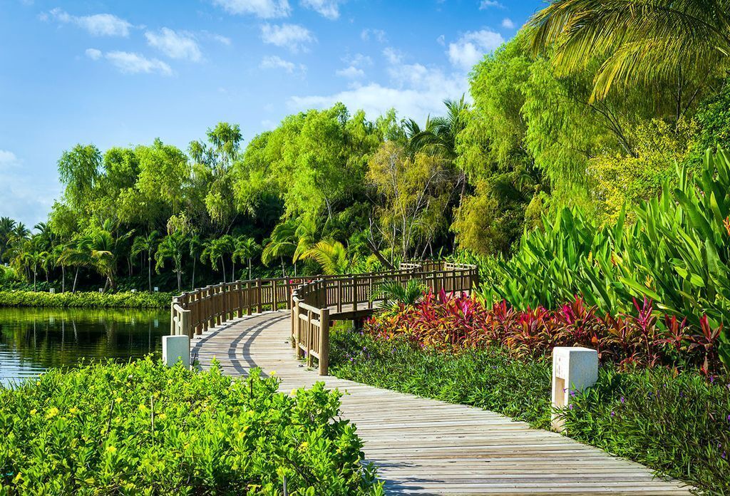 Photo of Outdoor in Nuevo Vallarta