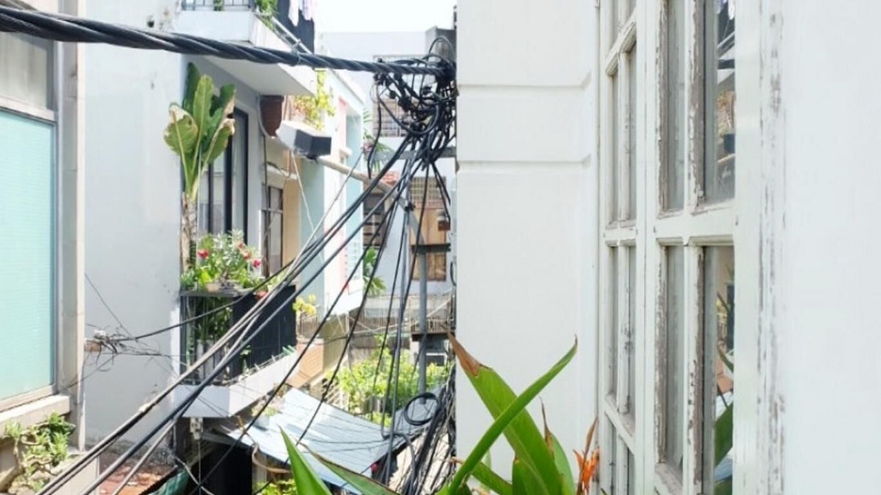 Photo of Others in Hai Chau