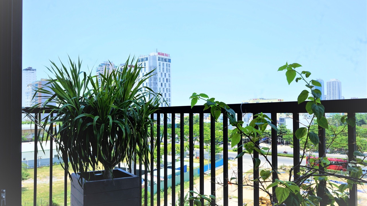 Photo of Outdoor in Son Tra