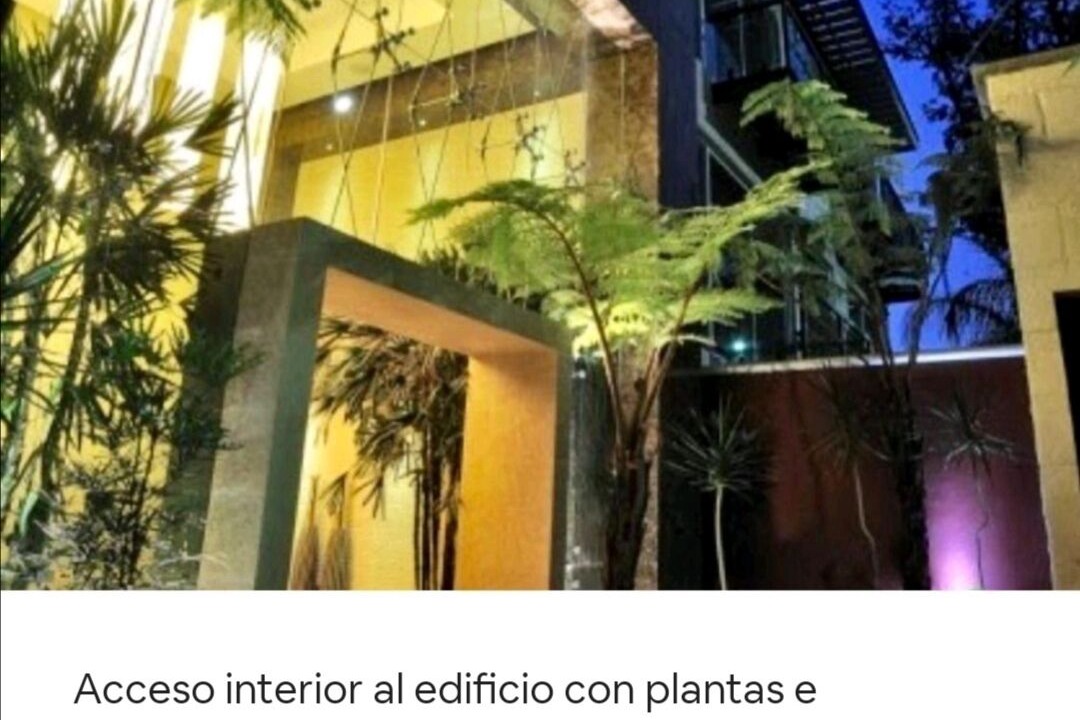 Photo of Outdoor in Chimalistac