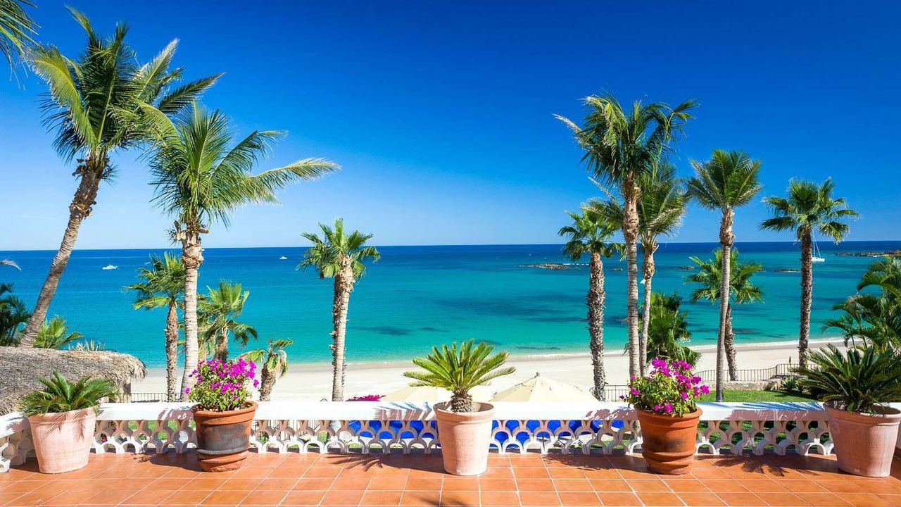 Photo of Others in Palmilla