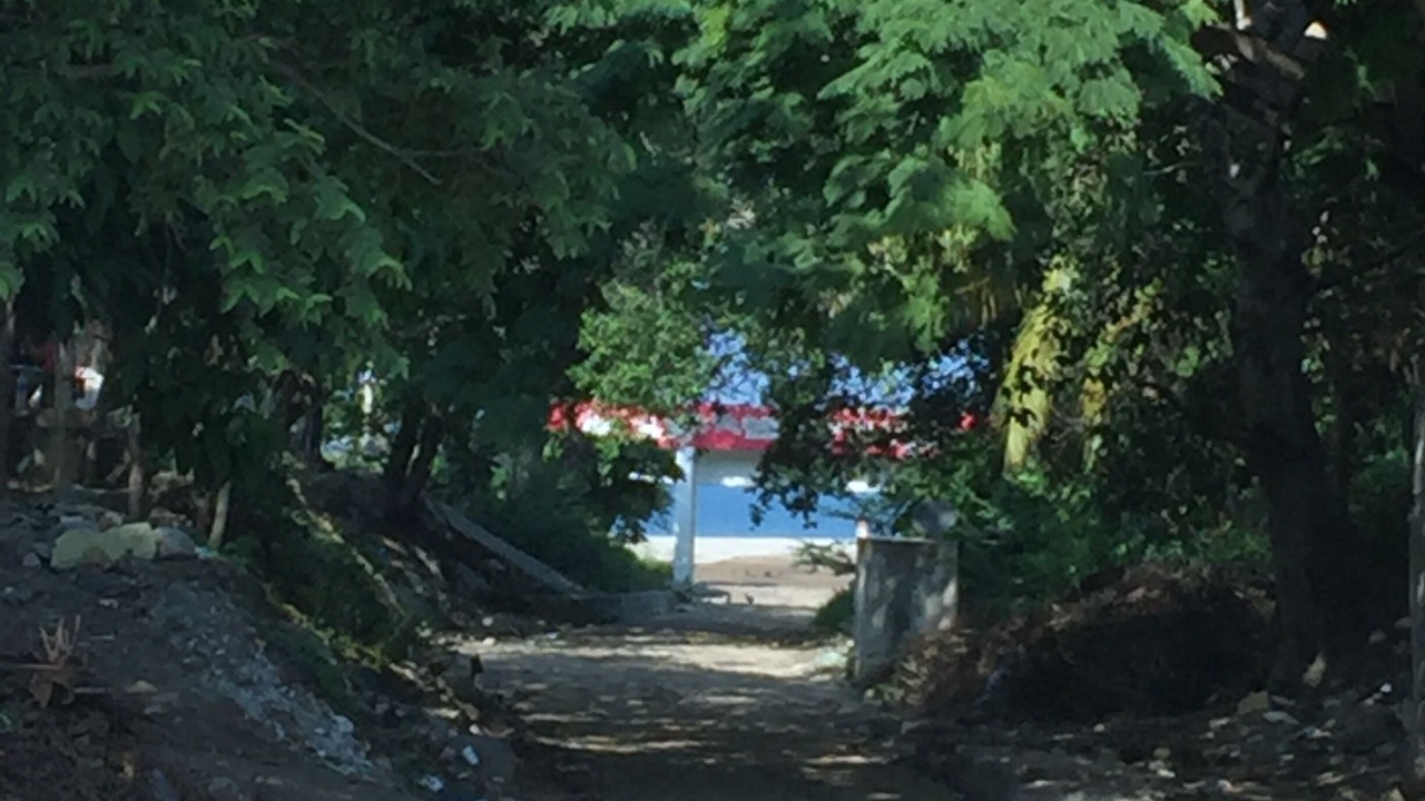 Photo of Others in Bucerias