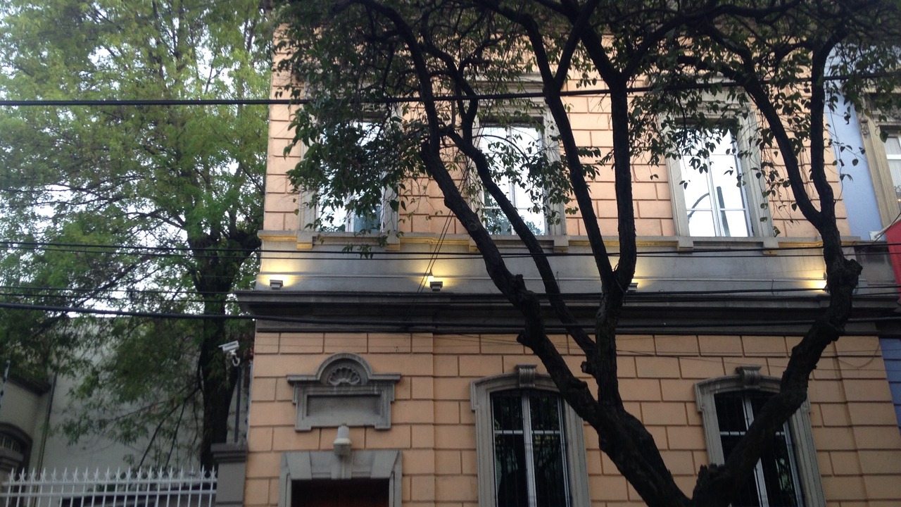 Photo of Outdoor in Roma Norte