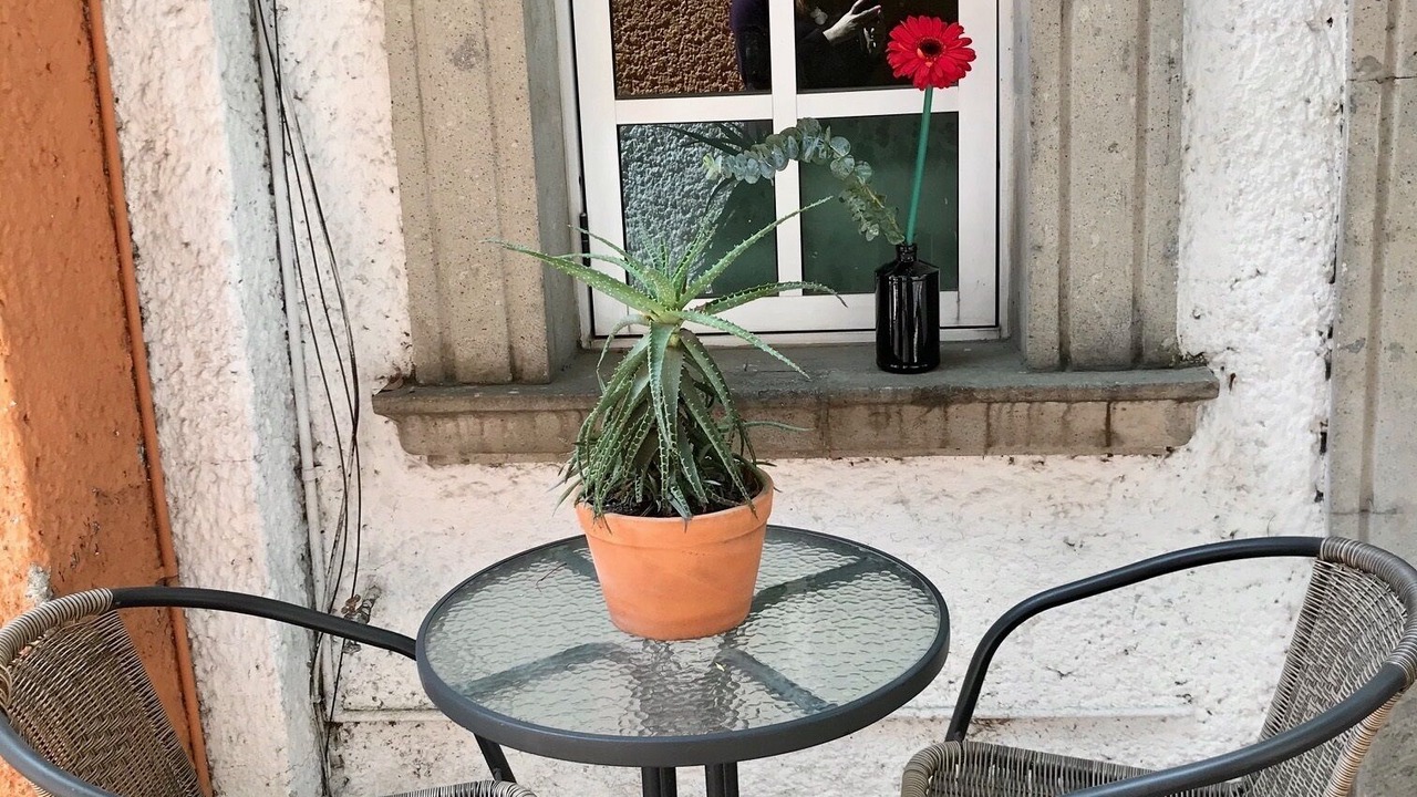 Photo of Outdoor in Roma Norte