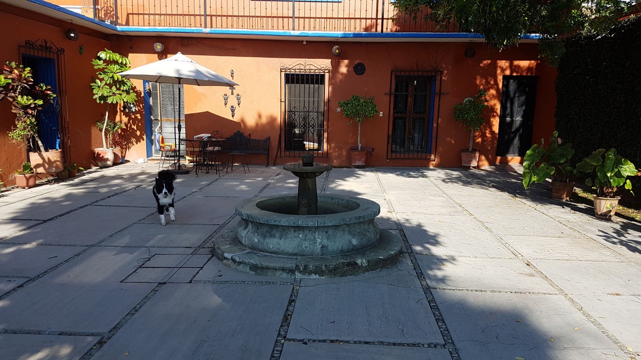 Photo of Patio Balcony in Oaxaca