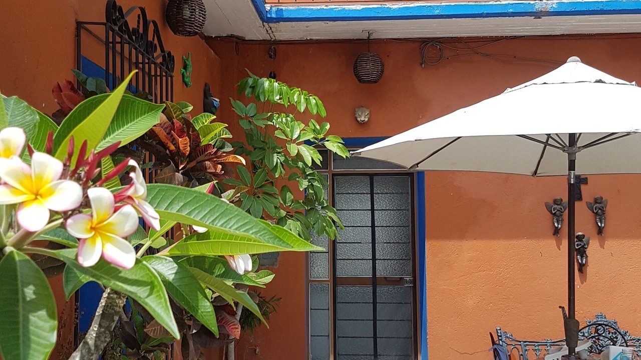 Photo of Outdoor in Oaxaca