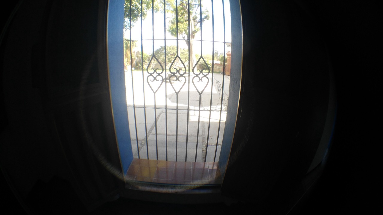 Photo of Others in Oaxaca