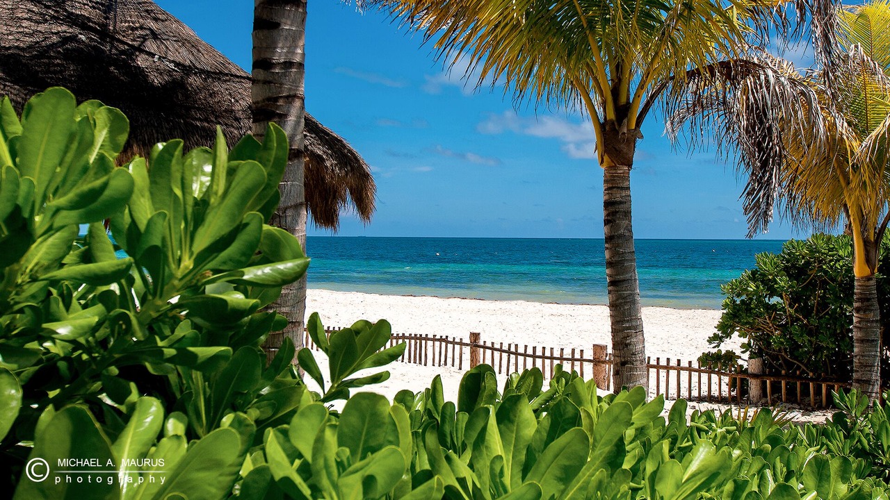 Photo of Others in Puerto Morelos