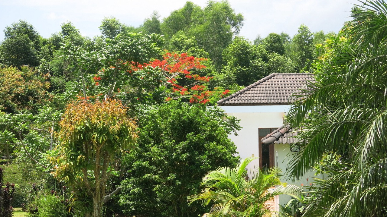 Photo of Outdoor in Ong Lang