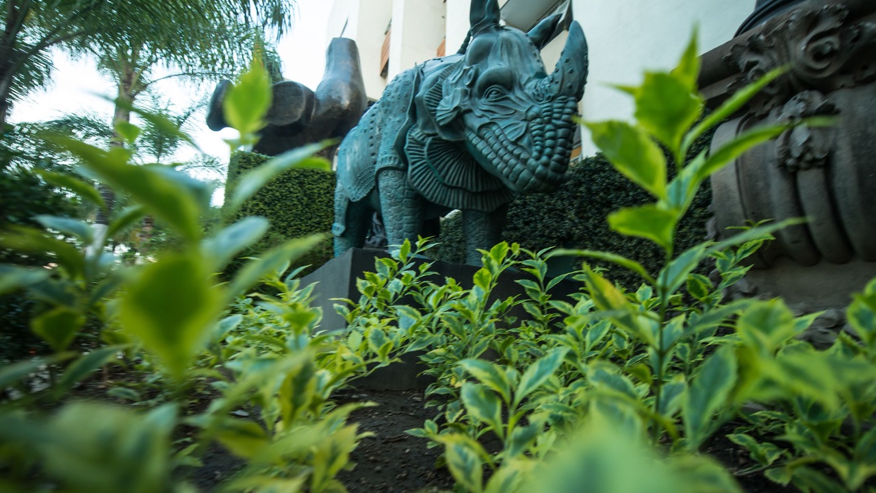 Photo of Outdoor in Zapopan