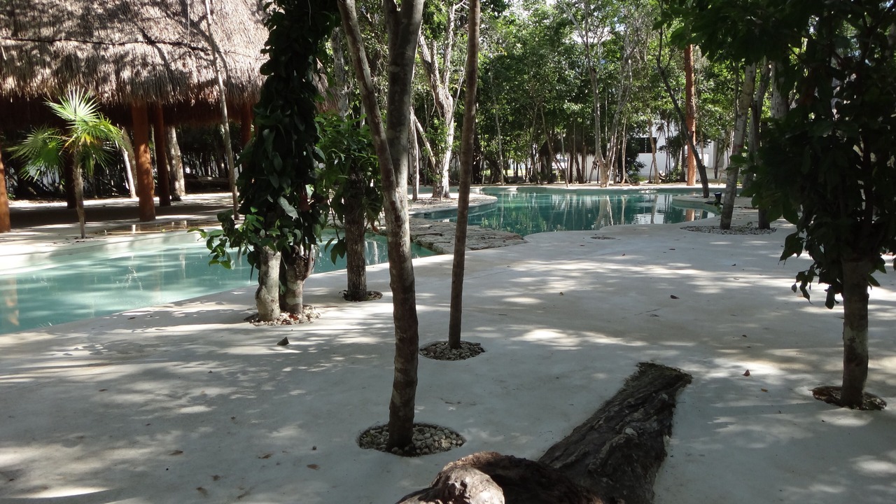 Photo of Outdoor in Puerto Morelos