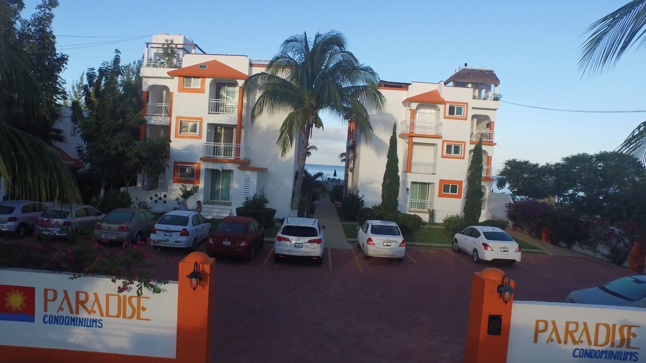 Photo of Others in Cozumel