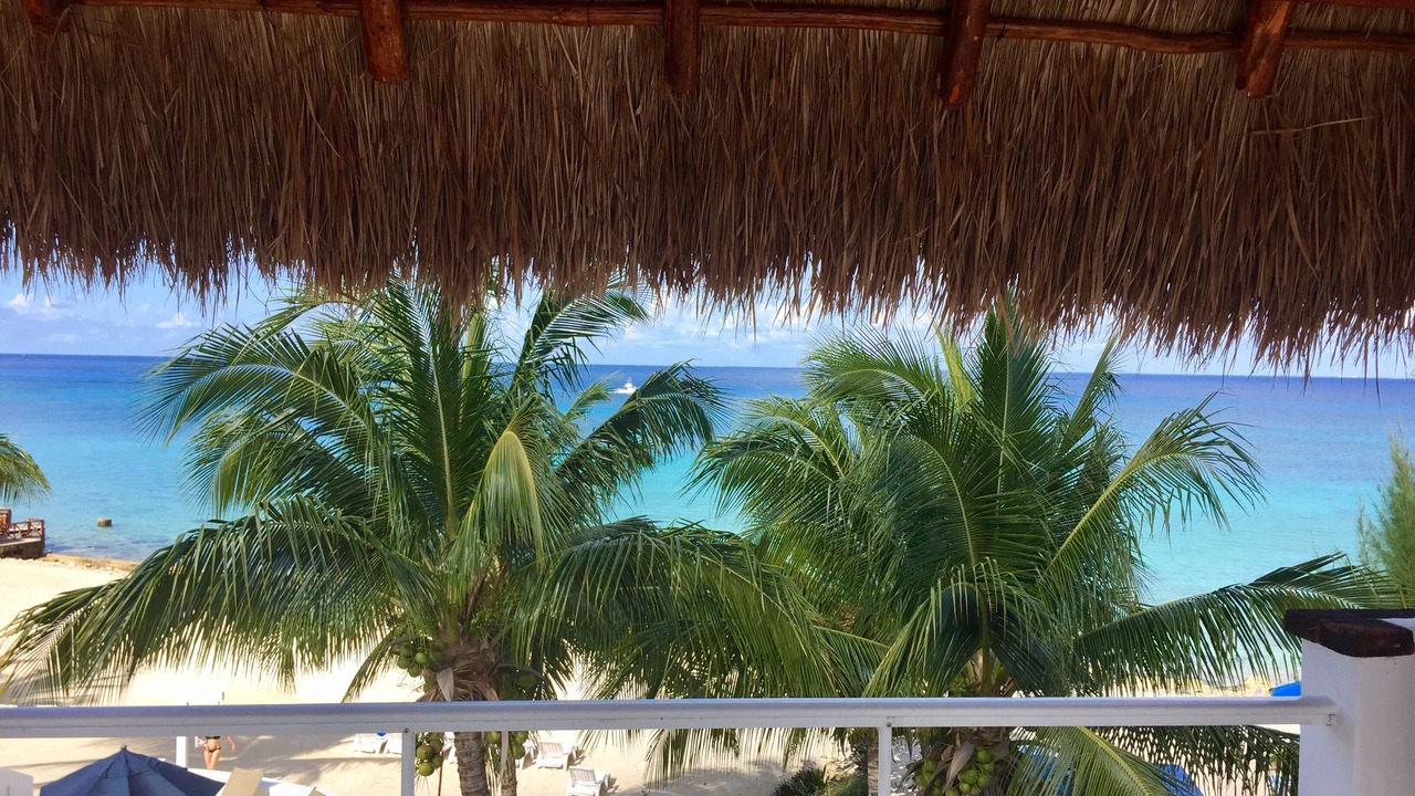 Photo of Others in Cozumel