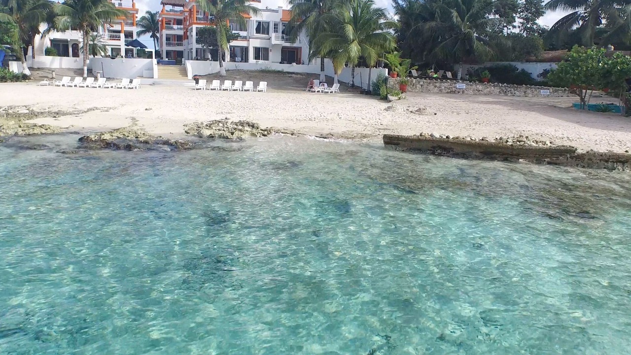 Photo of Others in Cozumel