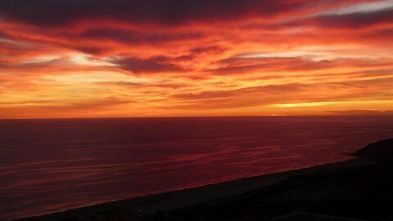Photo of Others in Pedregal
