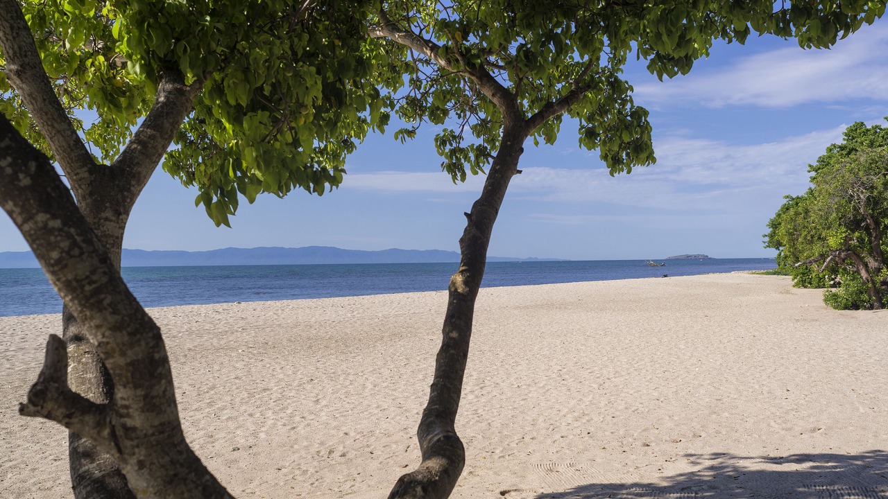 Photo of Others in Punta de Mita