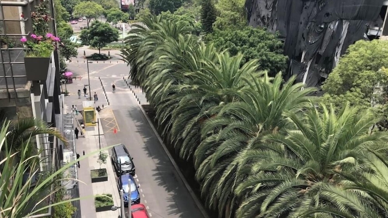 Photo of Outdoor in Roma Norte