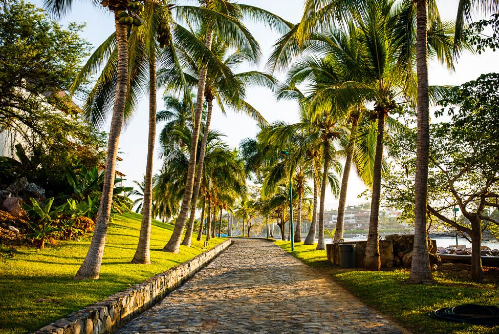 Photo of Others in Ixtapa