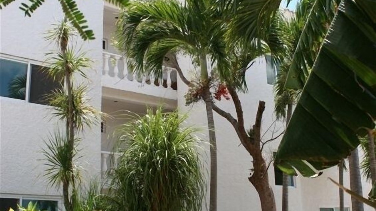 Photo of Others in Puerto Morelos