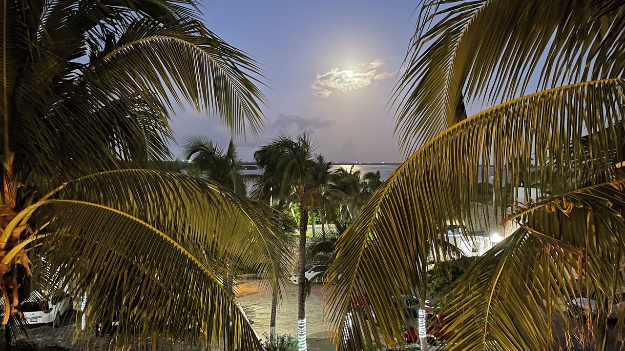 Photo of Outdoor in Punta Cancun