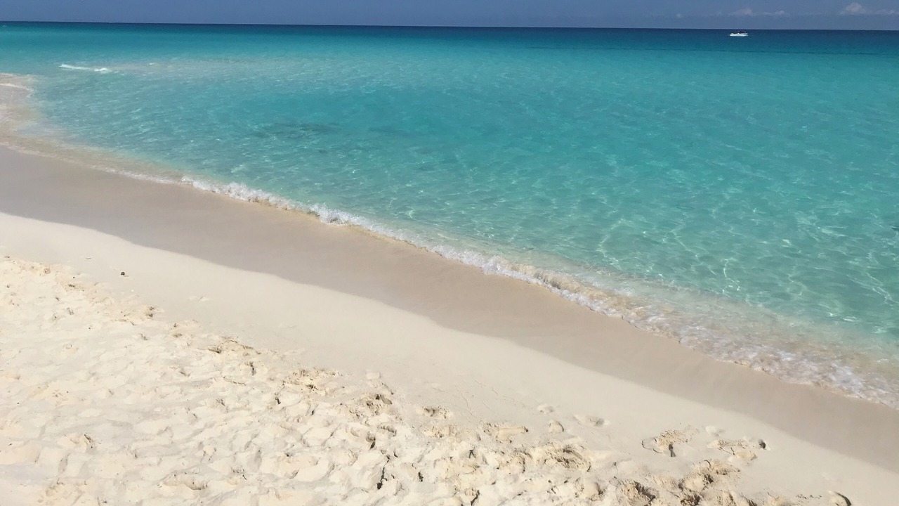 Photo of Others in Punta Cancun