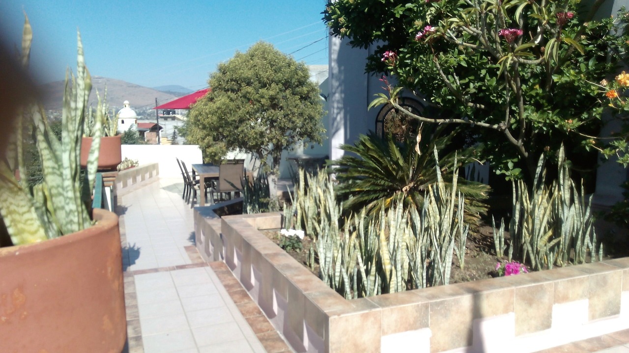 Photo of Outdoor in Oaxaca