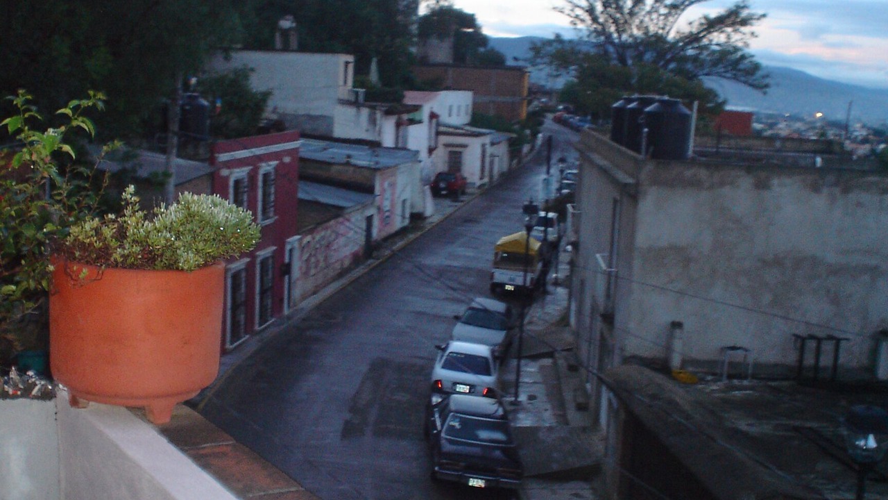 Photo of Others in Oaxaca