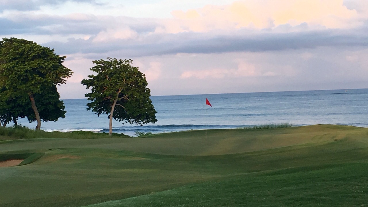 Photo of Others in Punta de Mita