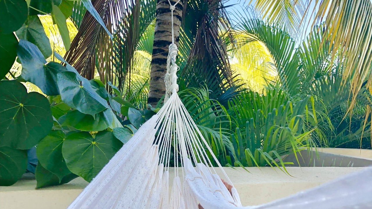 Photo of Outdoor in Punta de Mita