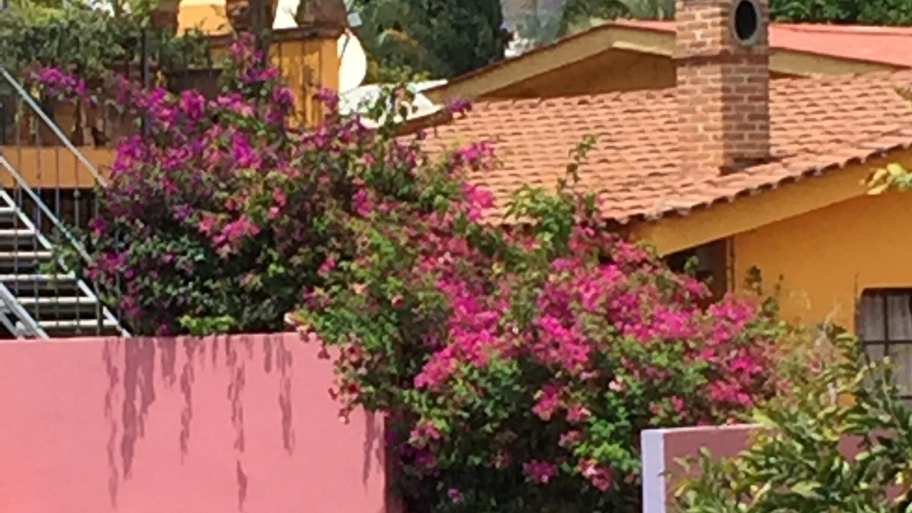 Photo of Others in Ajijic