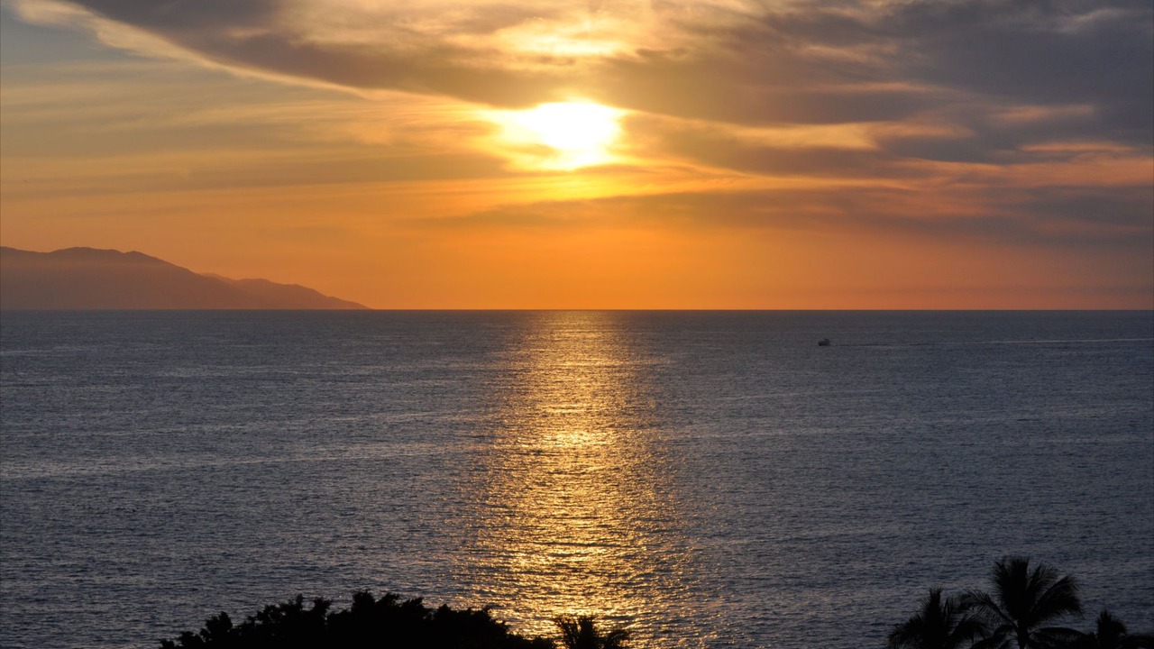 Photo of Others in Marina Vallarta