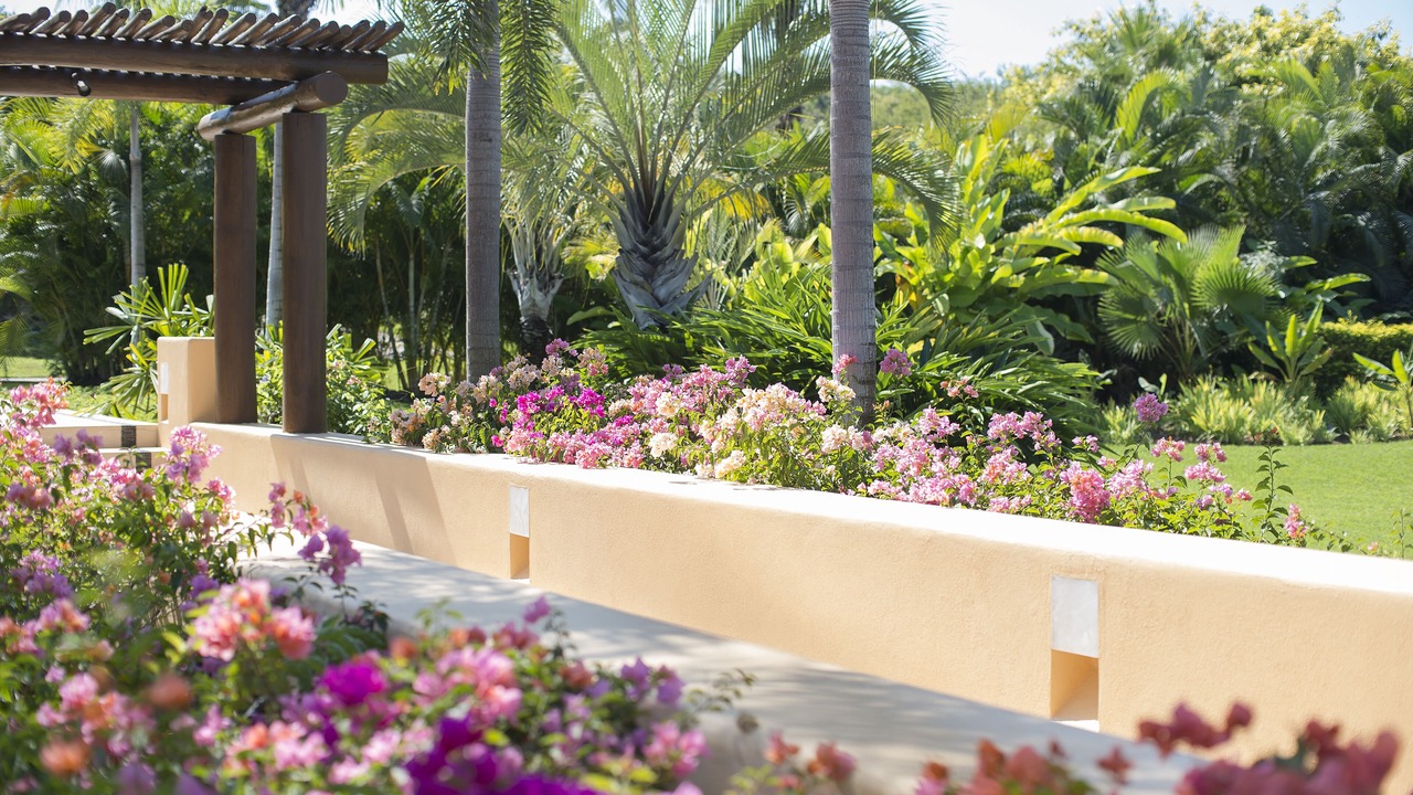 Photo of Others in Punta de Mita