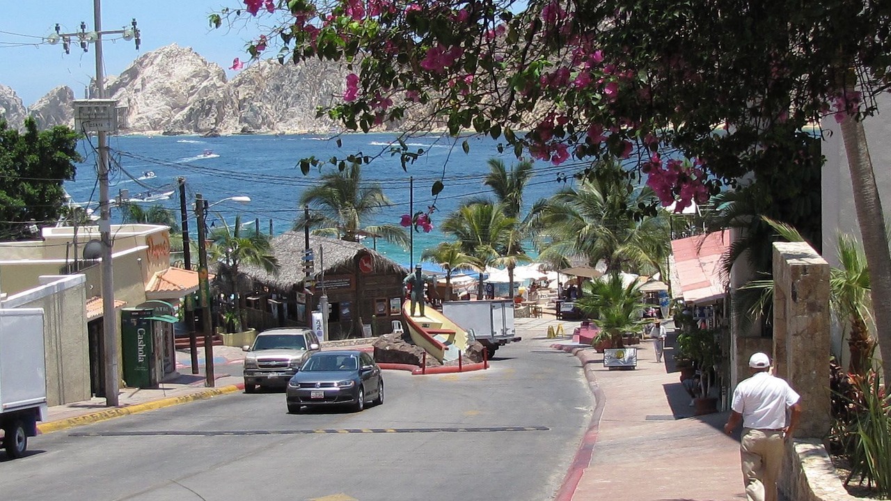Photo of Others in El Medano Ejidal
