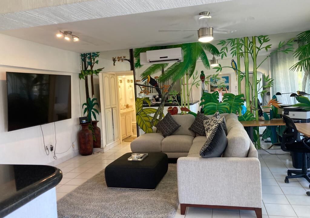 Photo of Livingroom in El Medano Ejidal