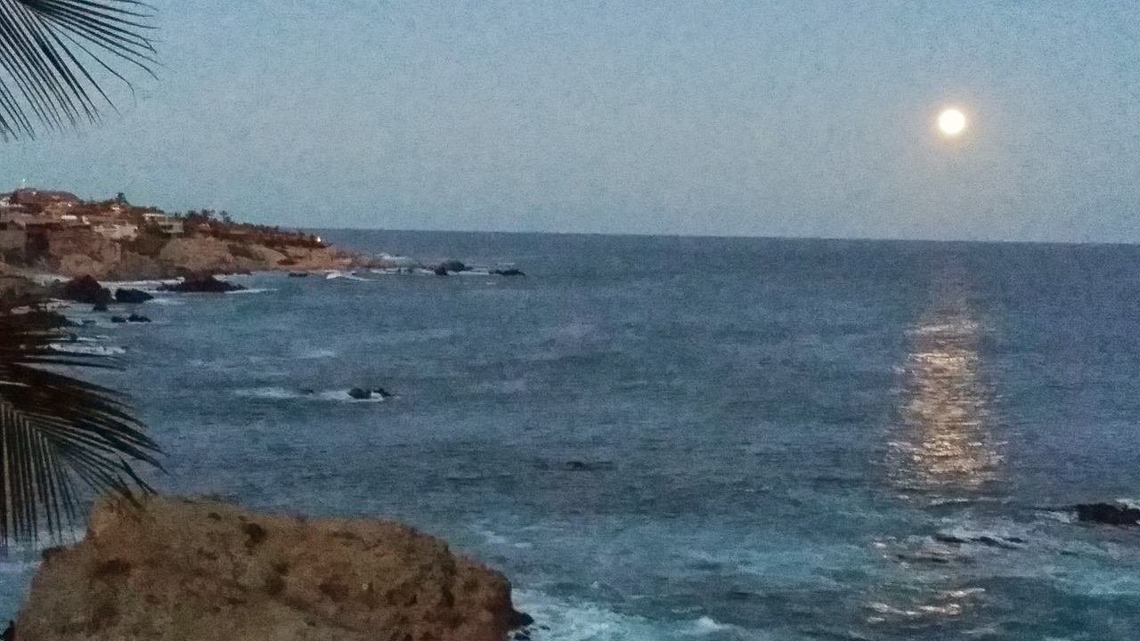 Photo of Others in Cabo Bello