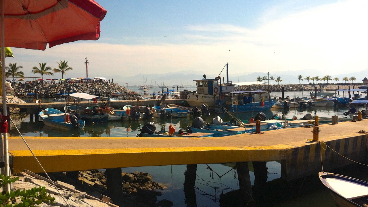 Photo of Others in La Cruz de Huanacaxtle