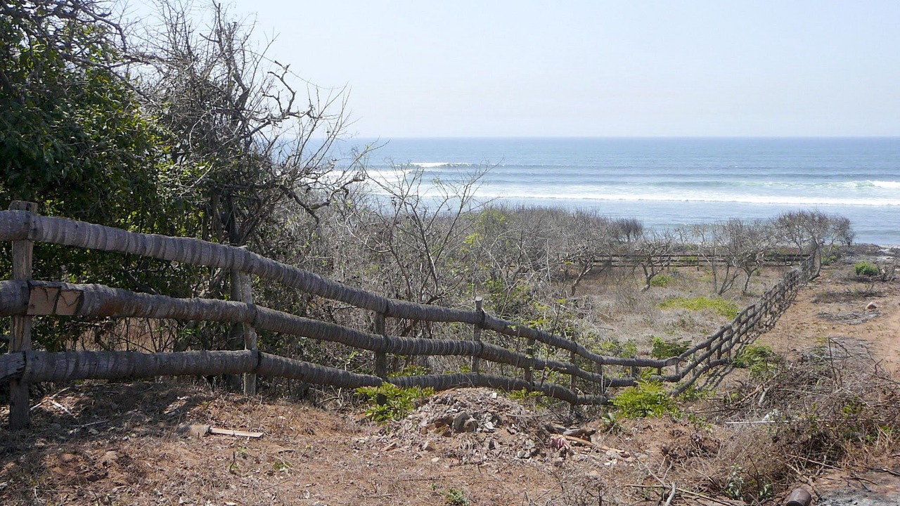 Photo of Others in La Union