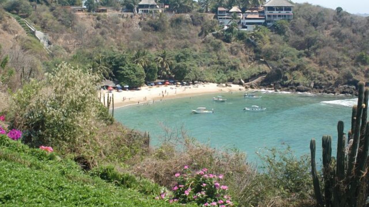 Photo of Others in Carrizalillo