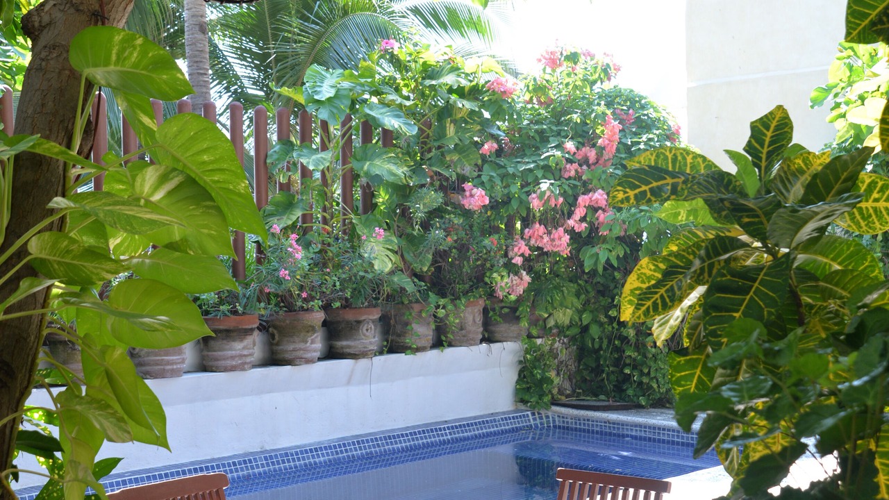 Photo of Outdoor in Playa la Madera