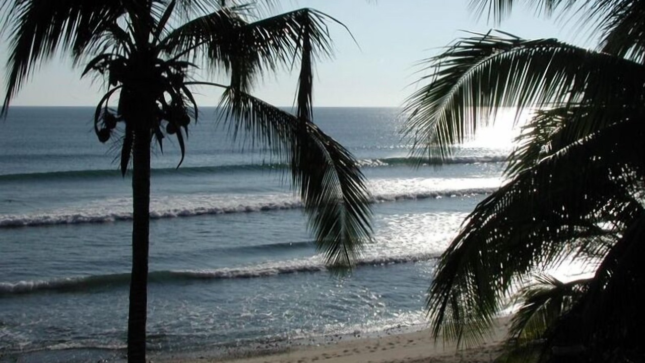 Photo of Others in Punta de Mita