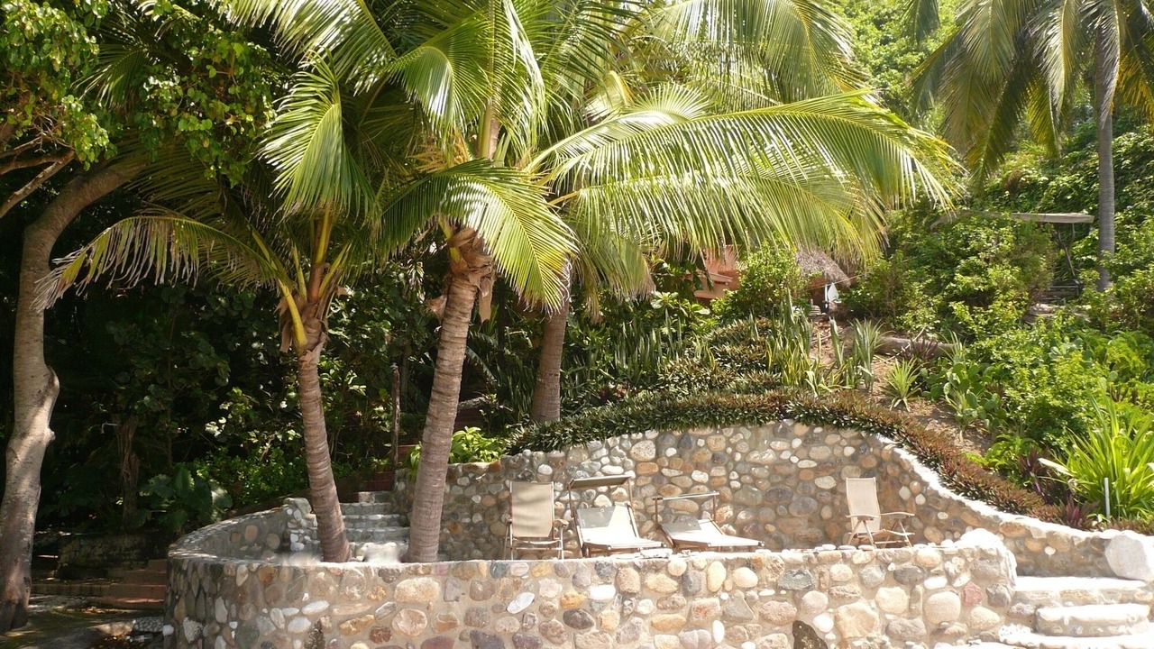 Photo of Others in Punta de Mita