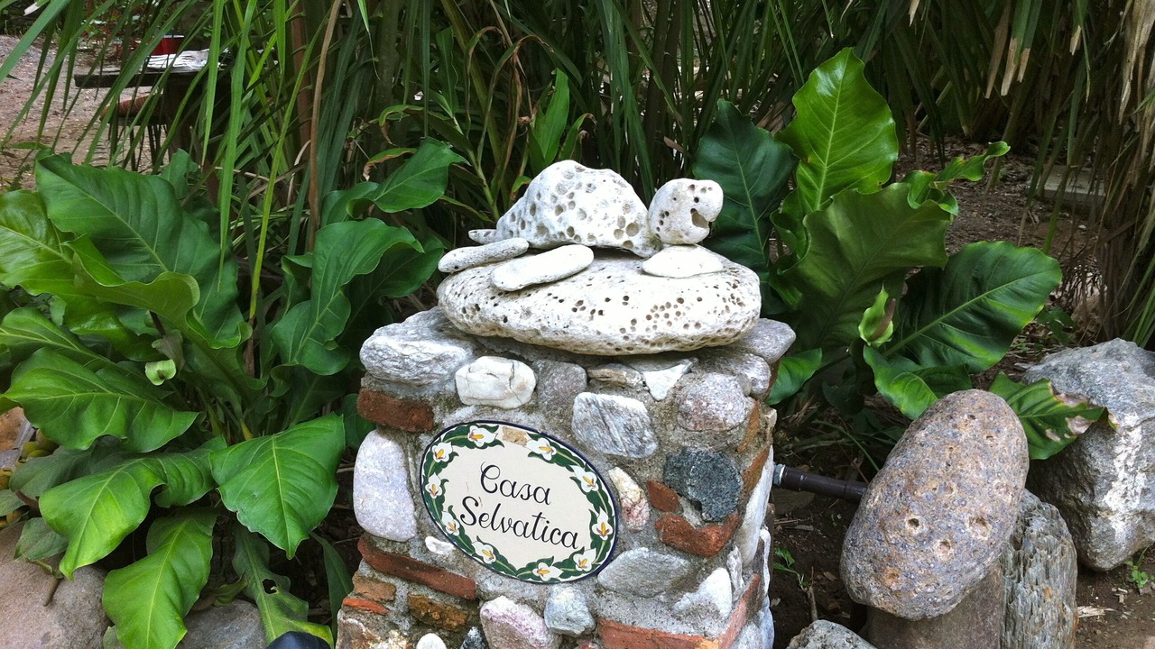 Photo of Outdoor in Punta de Mita