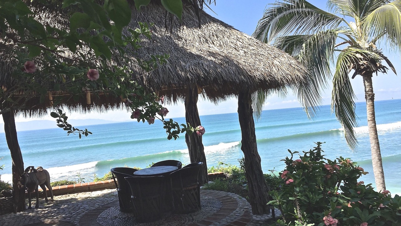 Photo of Others in Punta de Mita