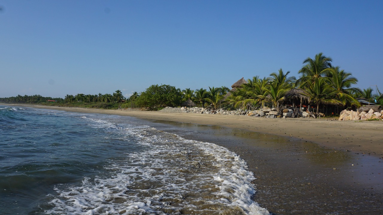 Photo of Others in Troncones