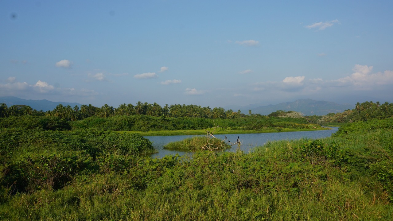 Photo of Outdoor in Troncones