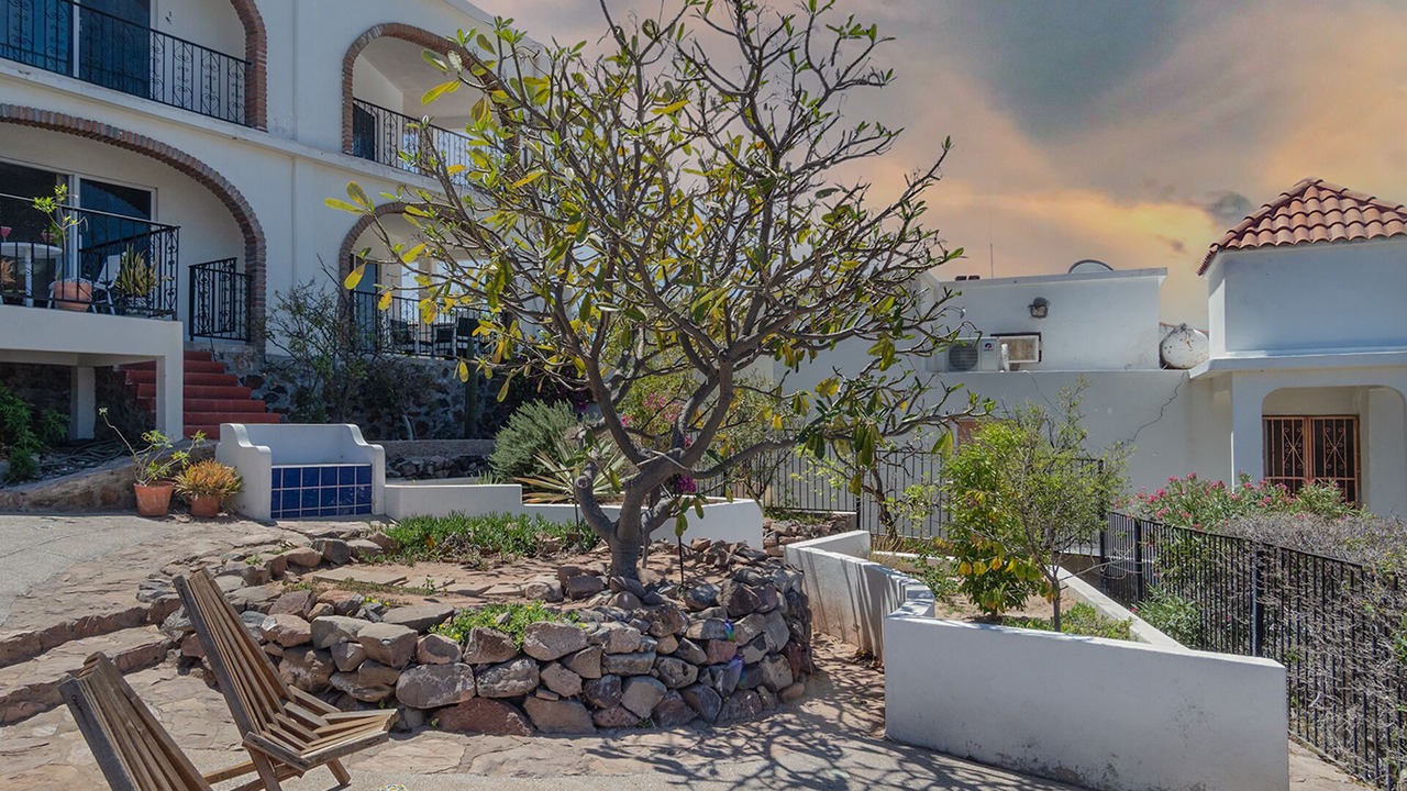Photo of Outdoor in San Carlos
