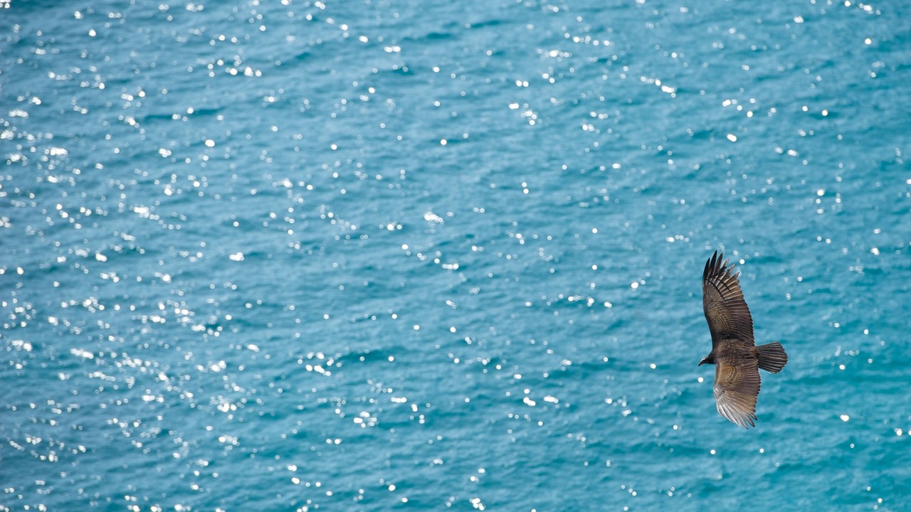 Photo of Others in Santa Maria Huatulco